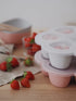 3 oz BEABA Multiportions Premium Quality Silicone Baby Food Freezer Tray with Clip On Lid, Baby Food Storage Container