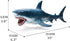 Gemini&Genius Sea Animal Great White Shark Action Figure - Megalodon Shark Model Toy, Soft Rubber Realistic Ocean Shark