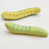 24Pcs Simulation Caterpillar Plastic Fake Worm Crawling Halloween Prank Toy, Educational Learning Toys for Kids