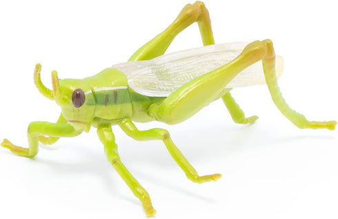 Papo Hand-Painted Wild Animal Kingdom Grasshopper Figurine 50268, Collectible for Children 3+