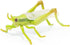 Papo Hand-Painted Wild Animal Kingdom Grasshopper Figurine 50268, Collectible for Children 3+