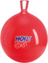 Gymnic Hop-55 22" Red Hop Ball