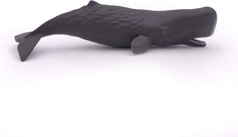 Papo Hand-Painted Figurine - Marine Life Sperm Whale Calf - 56045, Collectible for Children, Suitable for Boys and