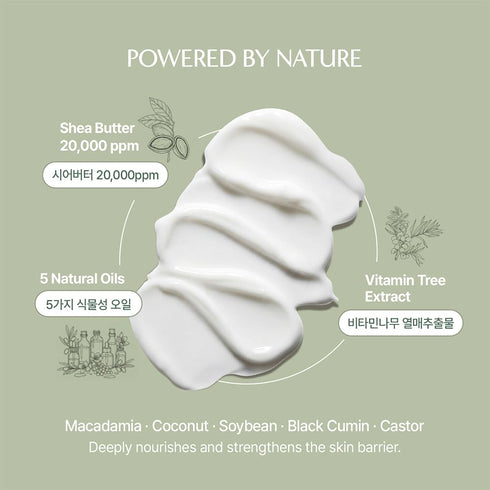 Family Body Cream Thick but Fast-Absorbing, Non-Greasy Hydration | Fragrance-Free | Safe for Babies, Kids & Adults |