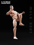 1/12 Figure,6inch Fremego Scale Action Male Strong Muscular Flexible Miniature Action Figure Body Doll Collection