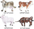 Hiawbon 12 Pcs Miniature Cattle Figurines Set - Mini Cow Models Plastic Cattle Models