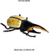 Flormoon Realistic Animal Figures, Hercules Beetle Figurines, Science Project, Cake Topper, Educational Toys for
