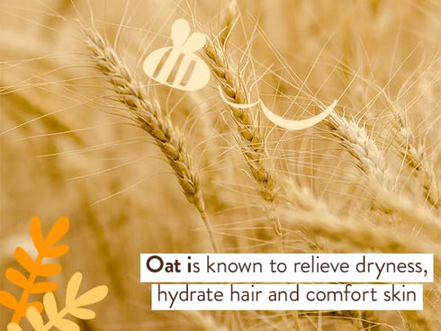 2-in-1 Babo Botanicals Moisturizing Oat & Calendula Shampoo & Wash Gentle Cleansing for Dry or Sensitive Skin Safe
