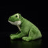 Nohito Kawaii Realistic Frog Plush Toy, 6.2" Green Frog Stuffed Animal, Lifelike Pillow Toys