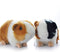 8 Inch Black and Orange Guinea Pig Plush Toy Stuffed Animal Doll