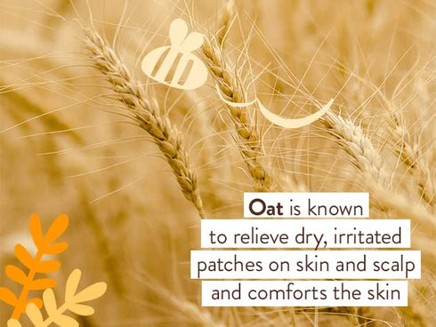Babo Botanicals Moisturizing Oat & Calendula Body Lotion - Vegan, Lightly Scented, for Dry or Sensitive Skin, 1 or 2