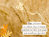 Babo Botanicals Moisturizing Oat & Calendula Body Lotion - Vegan, Lightly Scented, for Dry or Sensitive Skin, 1 or 2
