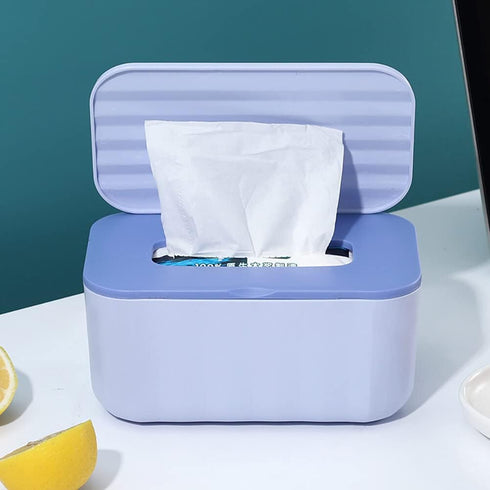 Generic Playful/Decorative Rectangular Polypropylene Tissue Storage Box Case Wet Wipes Dispenser Holder, Wall-Mounted