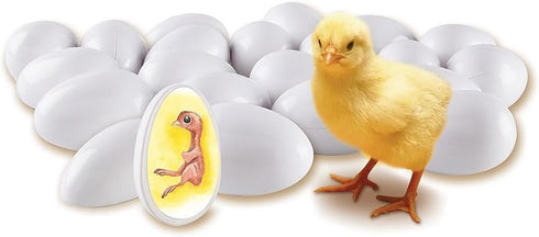 Set 21 5+ Learning Resources Chick Life Cycle Exploration - Pieces, Ages Science Exploration Toys for Kids