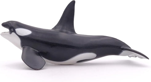 Papo Hand-Painted Figurine - Marine Life Killer Whale Figure 56000 - Collectible for Boys and Girls - Ages 3+