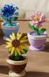 Sacblirr 6 Set Mini Flower Bonsai DIY Potted Plant Building Blocks Flower Seasons Rhythm for Kids and Adults, Botanical
