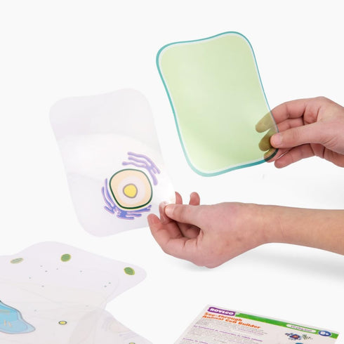 Plant Cell Anatomy Model, See Through Building Kit for Early Cell Biology, Educational STEM Toys for Classroom