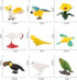 10 Pcs Simulated Bird Animals Parrot Model Figure Toys, Realistic Flamingo Birds Figurine Collection, Educational