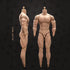 1:6 Scale Male Action Figure, 12 Inch Flexible Muscle Body Doll, Miniature Figure Without Head Sculpt