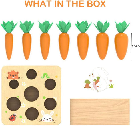 Montessori Toys for 1 Year Old, Wooden Developmental Shape Sorting & Matching Puzzle Carrots Harvest Game for Toddlers
