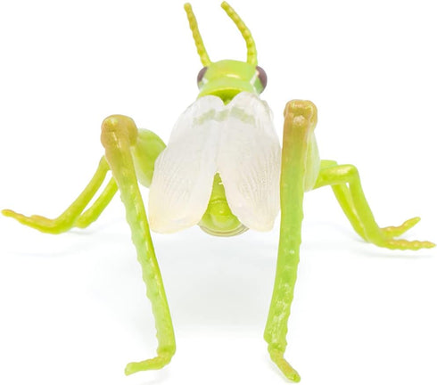 Papo Hand-Painted Wild Animal Kingdom Grasshopper Figurine 50268, Collectible for Children 3+