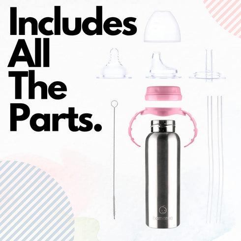3-in-1 (8 oz Stainless Steel Sippy Cups for Toddlers | Non-Toxic Insulated Stainless Steel Baby Bottle | Straw Cup