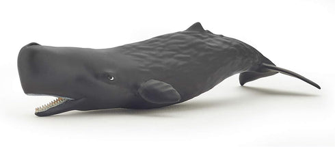 Papo Hand-Painted Figurine - Marine Life Sperm Whale Calf - 56045, Collectible for Children, Suitable for Boys and