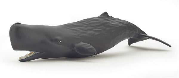 Papo Hand-Painted Figurine - Marine Life Sperm Whale Calf - 56045, Collectible for Children, Suitable for Boys and