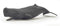 Papo Hand-Painted Figurine - Marine Life Sperm Whale Calf - 56045, Collectible for Children, Suitable for Boys and