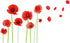 Esmee DIY Red Poppies Wall Decals, Beautiful Flowers Vines Stickers for Living Room Bedroom Nursery