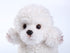 CU-MATE White Poodle Stuffed Animal Simulation Dog -Realistic & Lifelike Soft Handmade Standing Dog Plush Toy Puppy