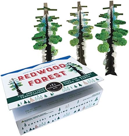Crystal Growing Redwood Forest