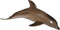 Andux Realistic Marine Life Animals Figures Toys - Wild Jungle Educational Playset FZDW-04 (Dolphin)