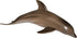 Andux Realistic Marine Life Animals Figures Toys - Wild Jungle Educational Playset FZDW-04 (Dolphin)