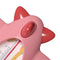Cute Pink Airplane Baby Bath Thermometer for Safe Infant Baths