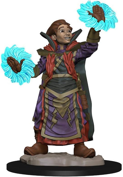 WizKids Wardlings RPG Figures, Boy Wizard & Imp.