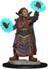 WizKids Wardlings RPG Figures, Boy Wizard & Imp.