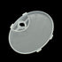 10pcs Mini Display Holder Stands for Dolls - Clear Support Stands