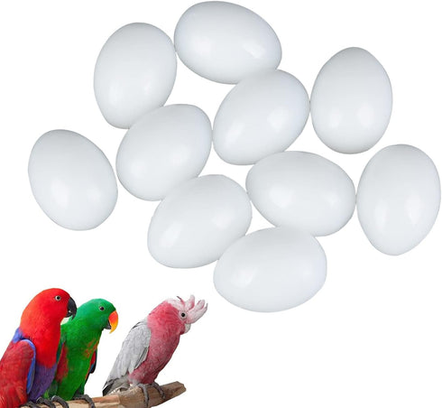 Dong Huang 10pcs Eggs37mm*27mm Solid Parrot Plastic Fake Eggs Realistic, Simulated Fake Bird Eggs for Hatching, Mini