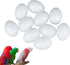 Dong Huang 10pcs Eggs37mm*27mm Solid Parrot Plastic Fake Eggs Realistic, Simulated Fake Bird Eggs for Hatching, Mini