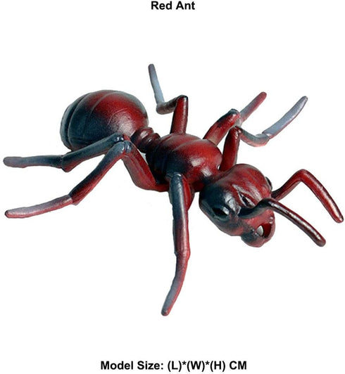 Realistic Red Ant Figurines, Insect Toy for Science Projects, Early Educational Birthday Toys for Kids 3-5