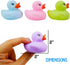 10 Pack: Counting 1, 2, 3 Count Set Numbers Rubber Ducks Colorful Bath Toys - Learn to Numeracy Early Learning