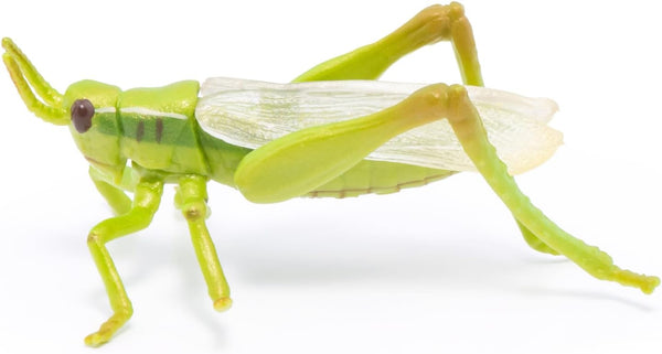 Papo Hand-Painted Wild Animal Kingdom Grasshopper Figurine 50268, Collectible for Children 3+