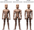 1/12 Figure,6inch (NT-02W Fremego Scale Male Action Super Flexible Strong Muscular Figure Body Square Head Miniature