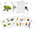 QuarenDen 33 Set, Sets 3+ Life Cycle Animal Kit, PCS, Montessori Toy, Realistic Figurine Kids Animal Match Game