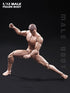 1/12 Figure,6inch Fremego Scale Action Male Strong Muscular Flexible Miniature Action Figure Body Doll Collection