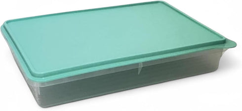Tupperware Snack-Stor Large in Mint Ice Cream