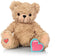Recordable Stuffed Animals 20 sec Heart Voice Recorder for Ultrasounds and Sweet Messages, Lil Tan Bear