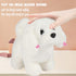 Hopearl 7'' White Bichon Interactive Electronic Pet Plush Toy, Woof and Moving Animated Nodding Head Gift for Toddlers