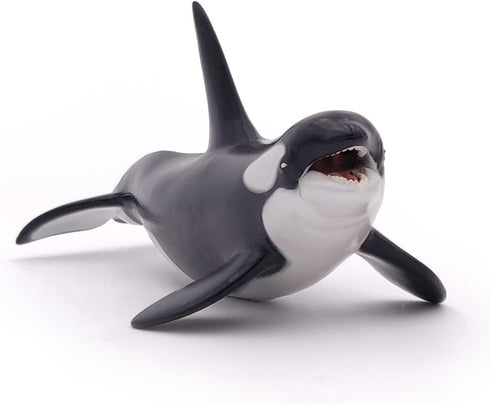 Papo Hand-Painted Figurine - Marine Life Killer Whale Figure 56000 - Collectible for Boys and Girls - Ages 3+